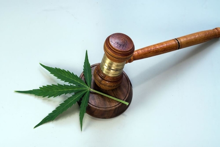 marijuana and gavel